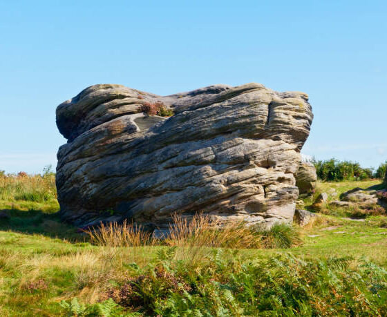 Stacklands ailenrock