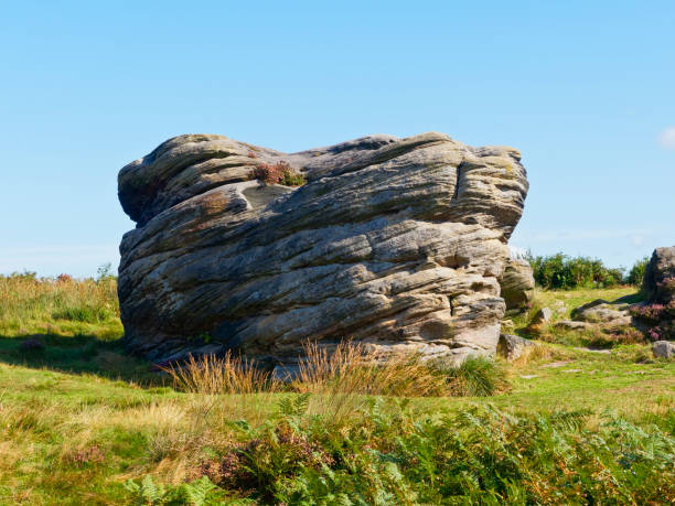 Stacklands ailenrock