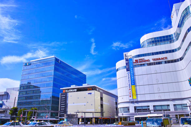Sankkucomplex