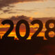 202 873 2990