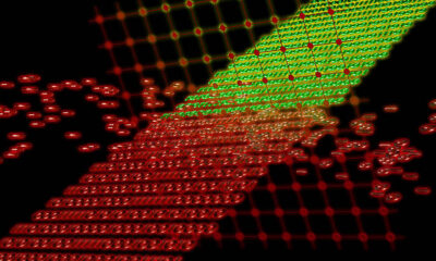 Severed bytes net