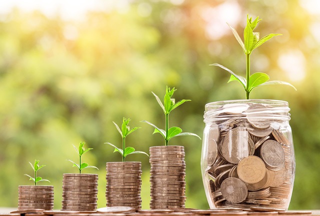 Coyyn.com economy