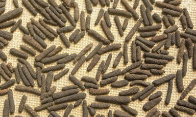 Corpenpelloz