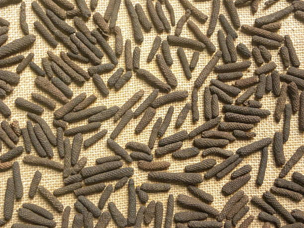 Corpenpelloz